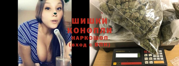 мяу мяу мука Аркадак