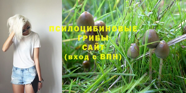 кокс Армянск