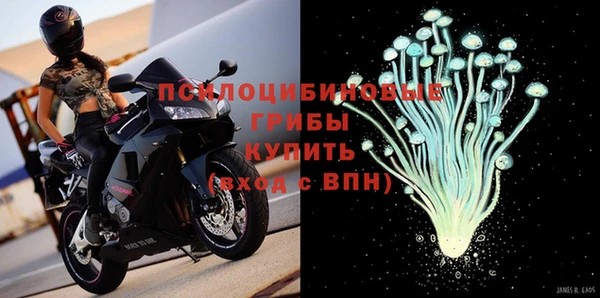 apvp Арсеньев
