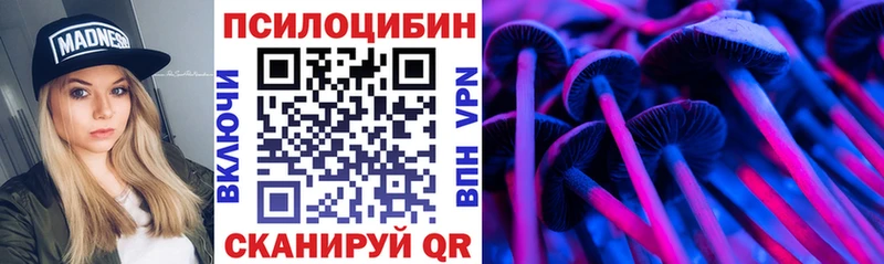 Псилоцибиновые грибы Psilocybine cubensis Белокуриха