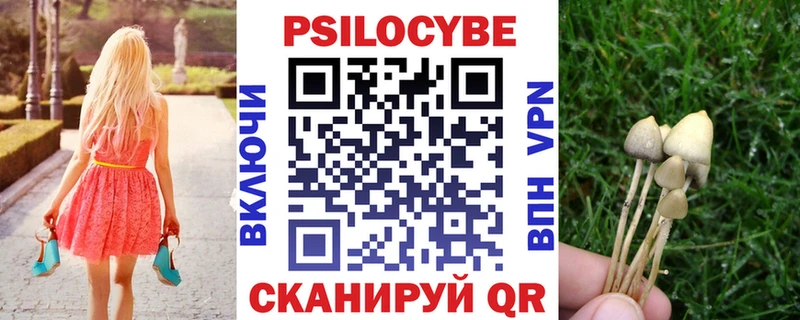 Галлюциногенные грибы Psilocybe  даркнет сайт  Белокуриха 