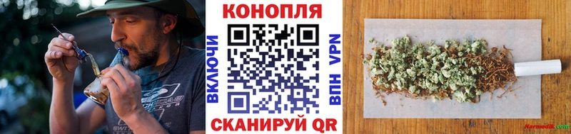Канабис конопля  что такое   Белокуриха 